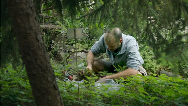 Bestiari, Erbari, Lapidari / Documenti copertina del programma Bestiari, Erbari, Lapidari / Documenti