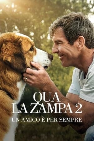 copertina del programma Qua la zampa 2 - Un amico e' per sempre