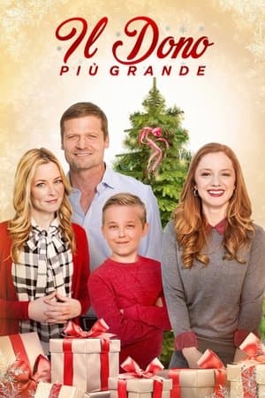 copertina del programma Il dono piu' grande