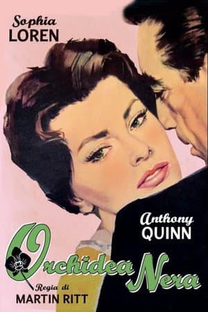 copertina del programma Orchidea nera