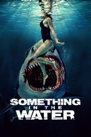 copertina del programma Something in the Water