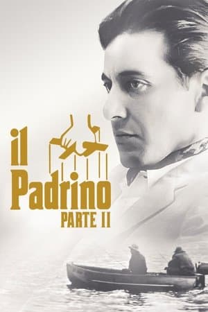 copertina del programma Il Padrino - Parte II