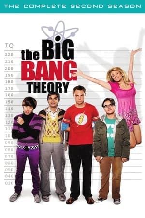 copertina del programma THE BIG BANG THEORY