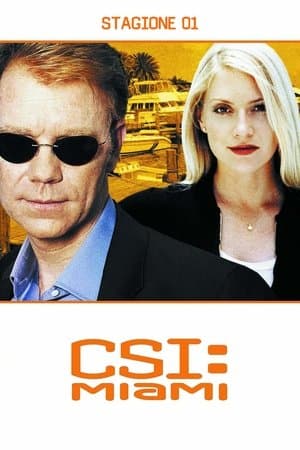 copertina del programma C.S.I. Miami