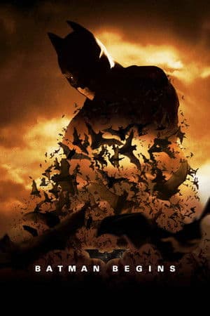 copertina del programma Batman Begins