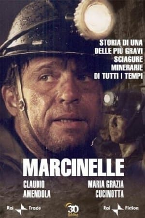 copertina del programma Marcinelle