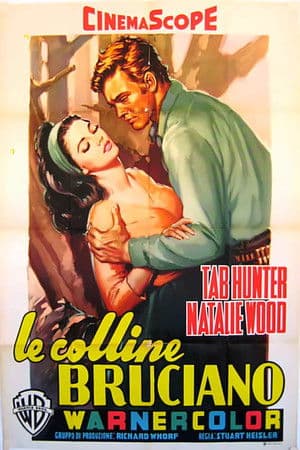 copertina del programma Le colline bruciano
