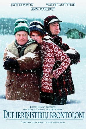 copertina del programma Due irresistibili brontoloni