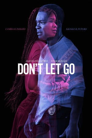 copertina del programma Don't Let Go