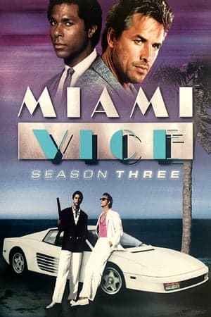 copertina del programma Miami Vice