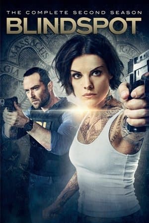 copertina del programma Blindspot