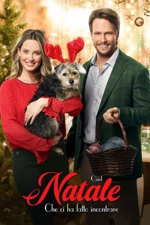 copertina del programma Quel Natale che ci ha fatto incontrare