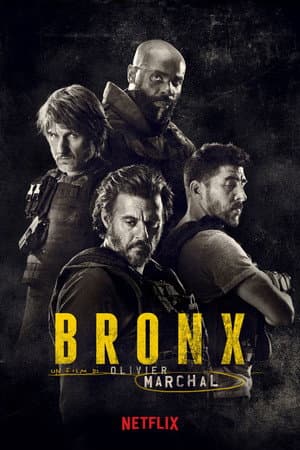 copertina del programma Bronx