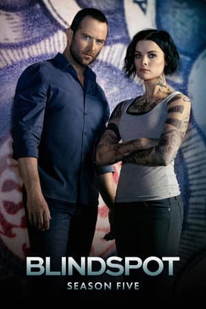 copertina del programma Blindspot