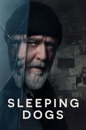 copertina del programma Sleeping Dogs