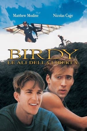 copertina del programma Birdy - Le Ali Della Libertà