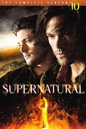 copertina del programma Supernatural