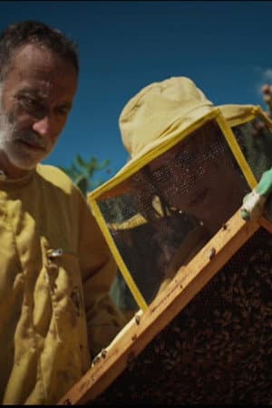 copertina del programma L'energia della creazione