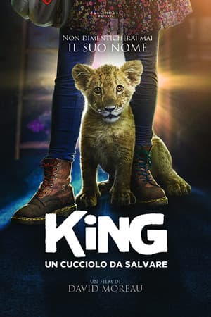 copertina del programma King - Un cucciolo da salvare