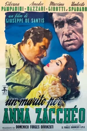 copertina del programma Un marito per Anna Zaccheo