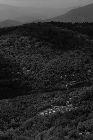 copertina Est (2020)