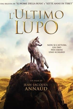copertina del programma L'ultimo lupo