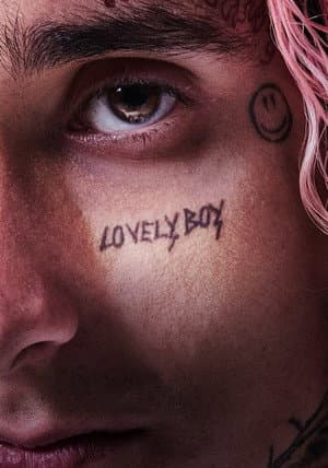 copertina del programma Lovely Boy