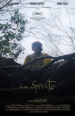 copertina In spirito
