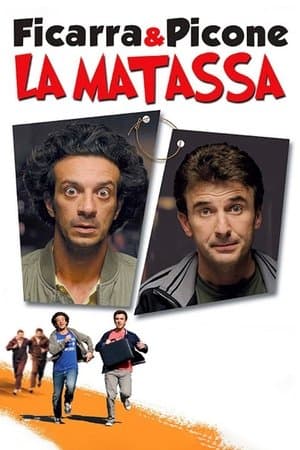 copertina del programma La matassa