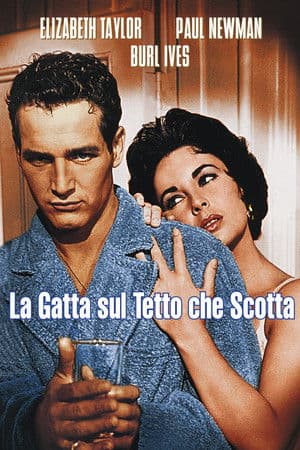 copertina del programma La gatta sul tetto che scotta