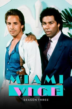 copertina del programma Miami Vice