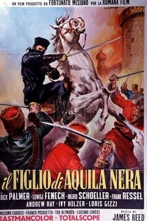 copertina Il figlio di Aquila Nera