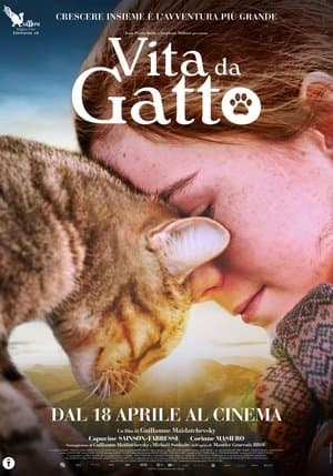 copertina del programma Vita da gatto