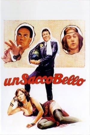 copertina del programma Un sacco bello