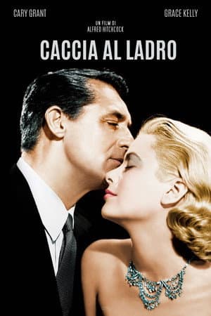 copertina del programma Caccia al ladro
