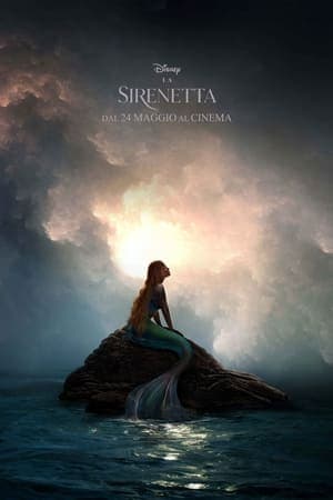 copertina del programma La Sirenetta