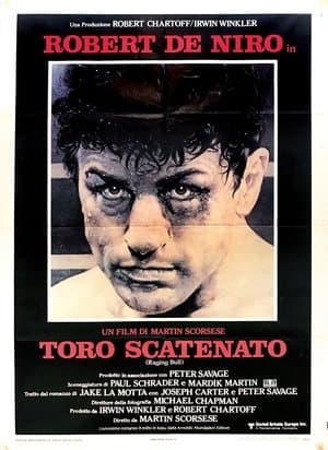 copertina del programma Toro scatenato