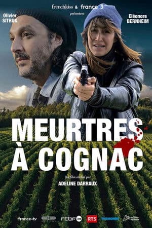 copertina del programma Delitto a Cognac