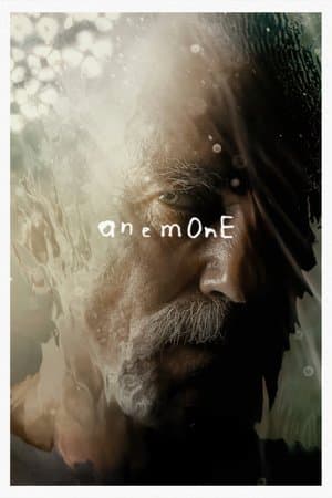 copertina del programma Anemone
