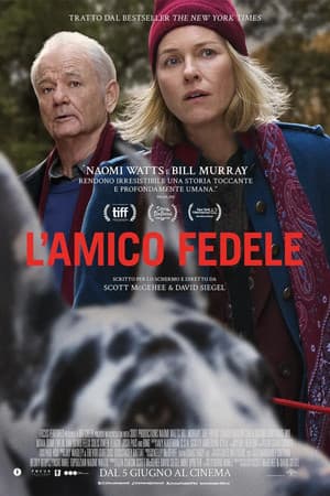 copertina del programma L'amico fedele