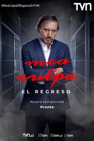 copertina del programma Mea Culpa