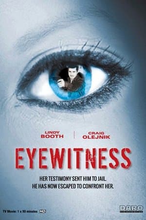 copertina Eyewitness - Testimone nell'ombra