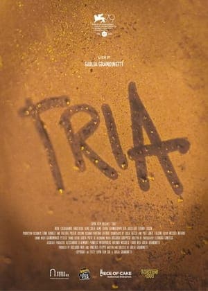 copertina Tria - Del sentimento del tradire