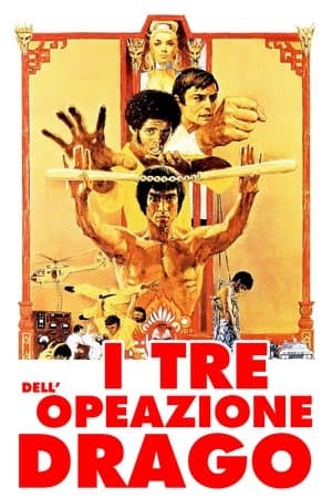 copertina del programma I 3 dell'operazione drago