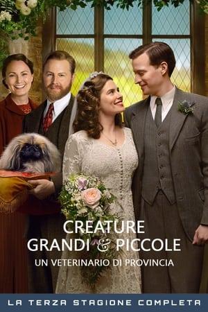 copertina del programma Creature grandi e piccole - Un veterinario di provincia