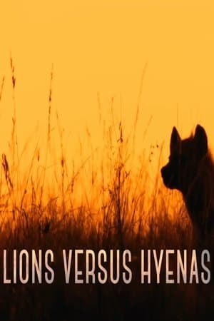 copertina Lions & Hyenas