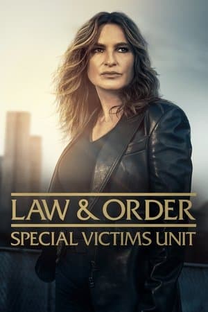 copertina del programma Law & Order: Special Victims Unit
