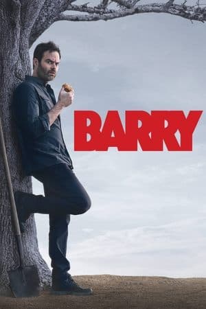 copertina del programma Barry