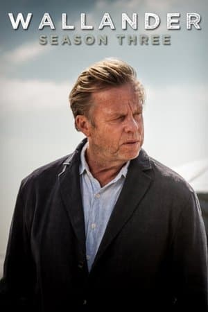 copertina del programma Wallander