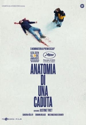 copertina del programma Anatomia di una caduta